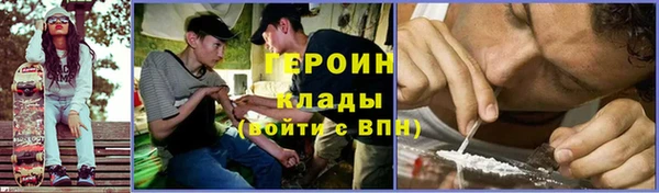 молекула духа Осташков