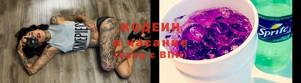 молекула духа Осташков