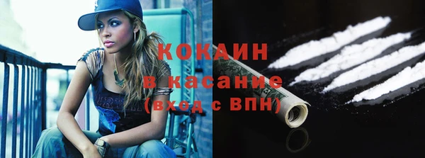 молекула духа Осташков