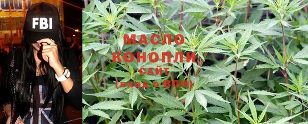 молекула духа Осташков