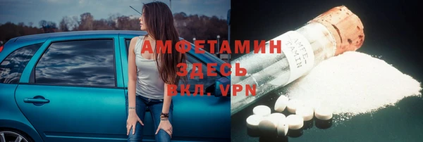 молекула духа Осташков