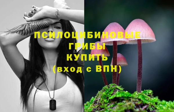 молекула духа Осташков