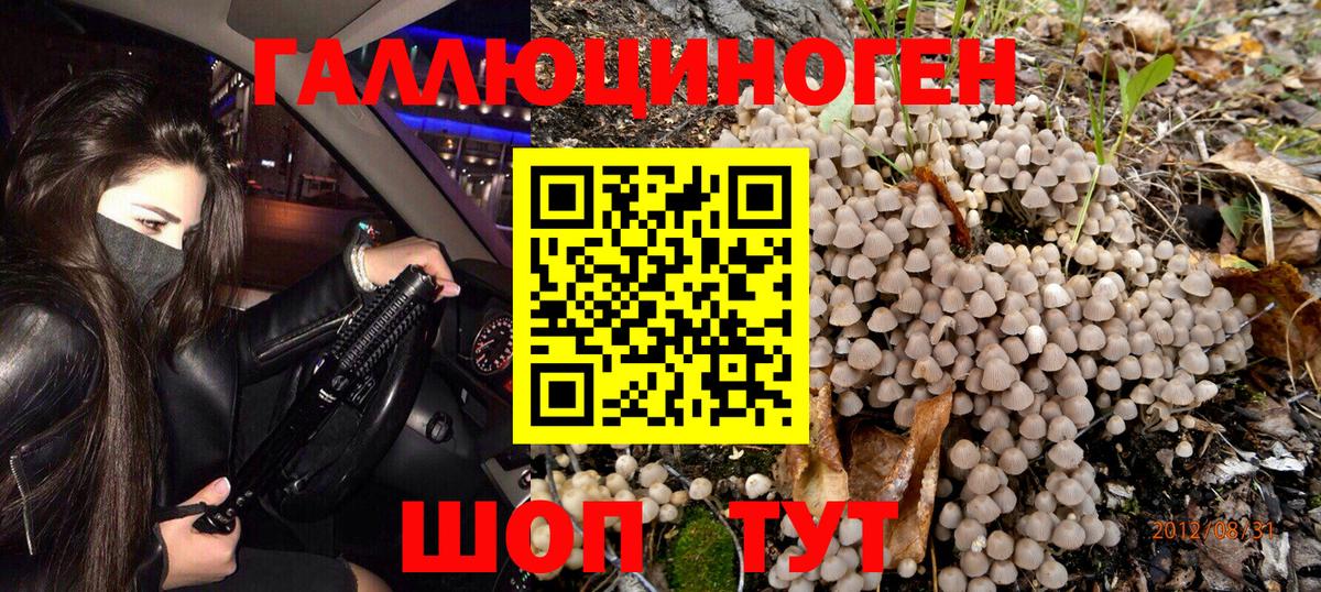 Псилоцибиновые грибы мухоморы Костомукша
