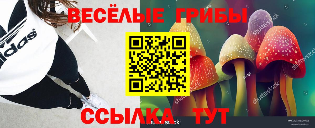 Галлюциногенные грибы MAGIC MUSHROOMS  Вход с VPN  Псилоцибиновые грибы ЛСД  Костомукша 